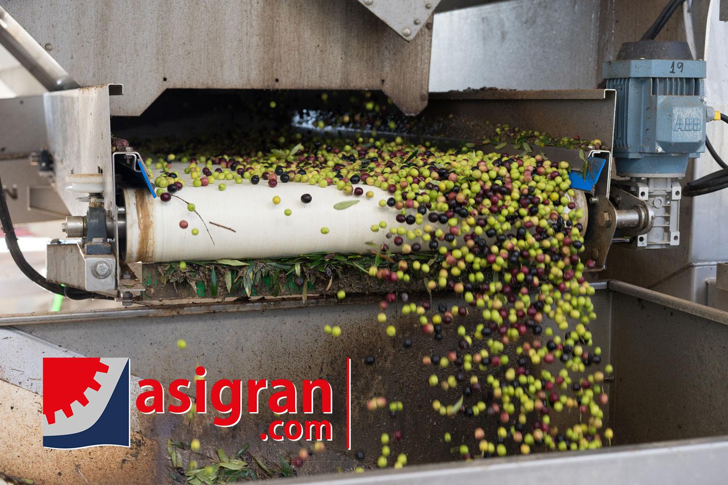 <p>Desalojo óptimo de aceituna y residuos.</p>