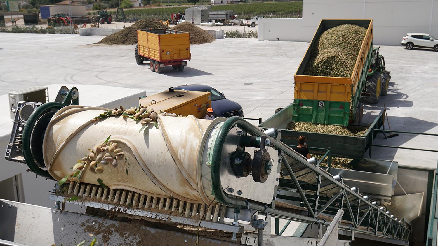 <p>Recepci&oacute;n avanzada para almendra</p>