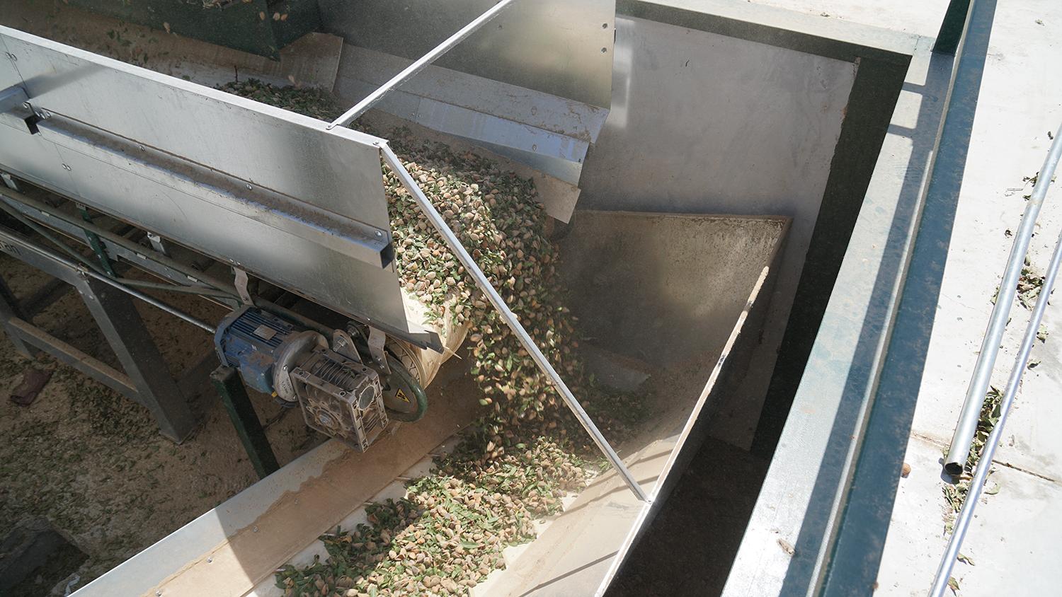<p>Recepci&oacute;n avanzada para almendra</p>
