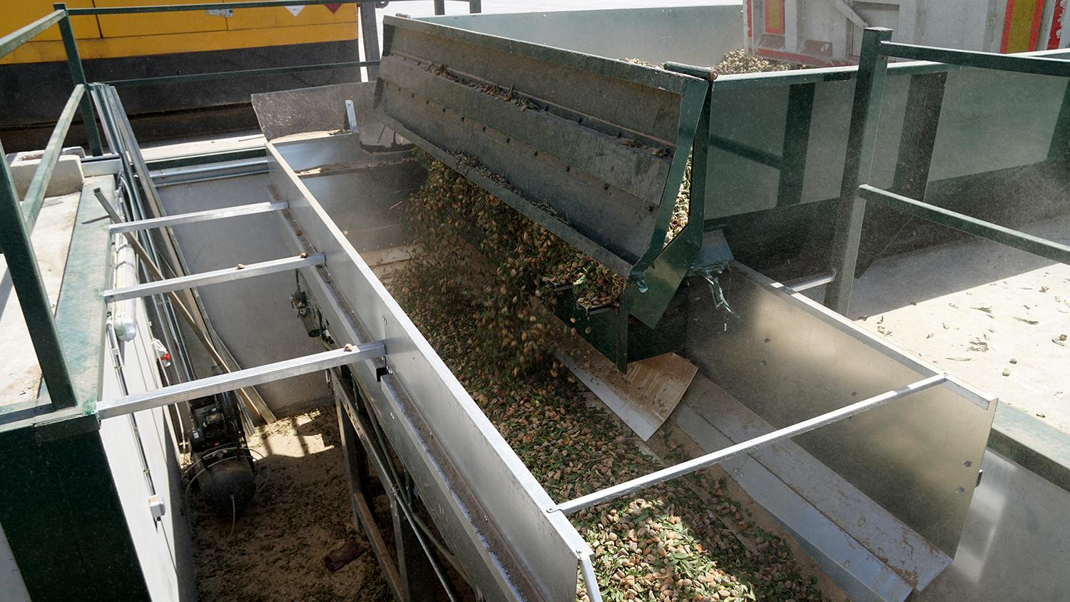 <p>Recepci&oacute;n avanzada para almendra</p>