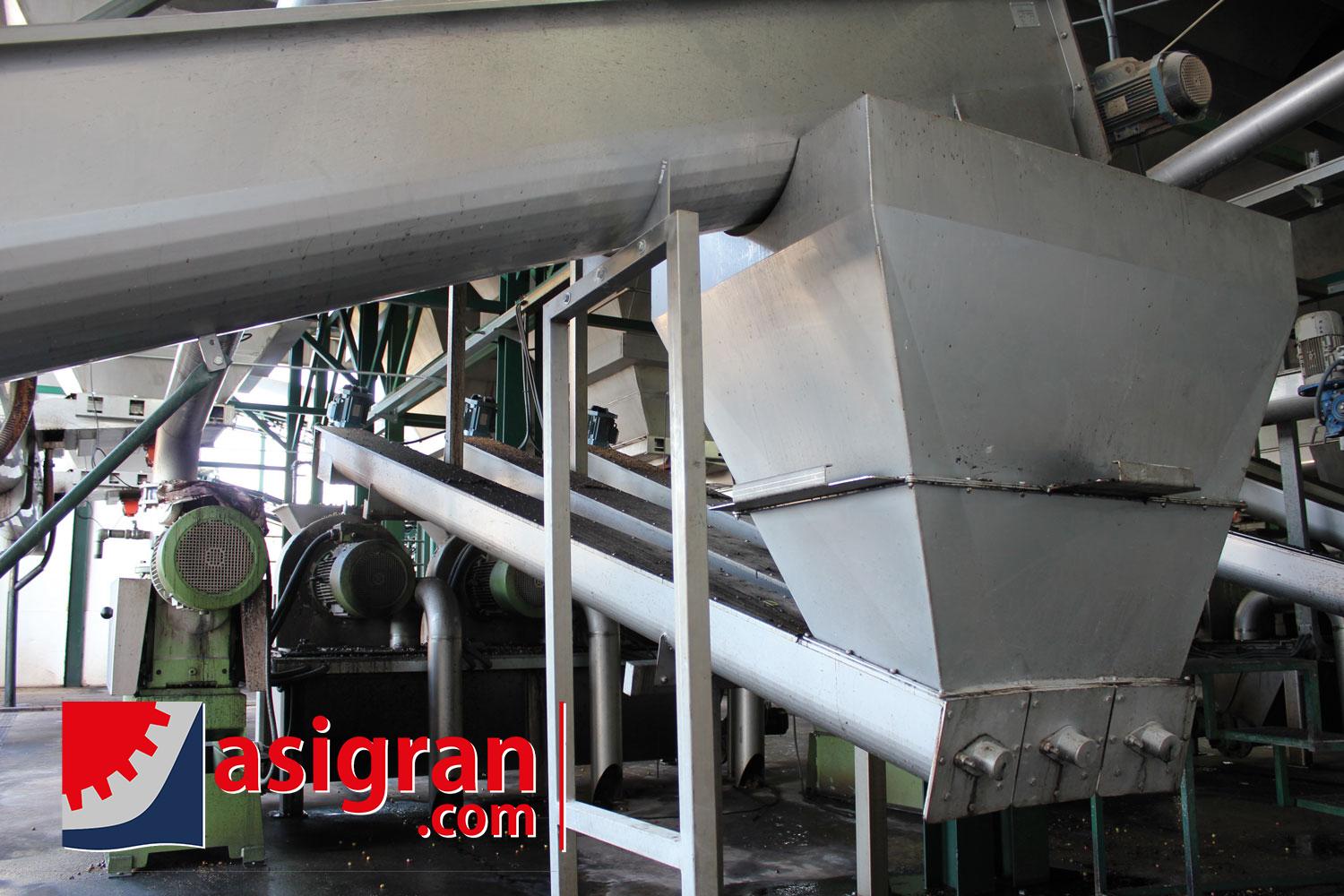 <p>Transportadores Sinf&iacute;n para aceituna</p>