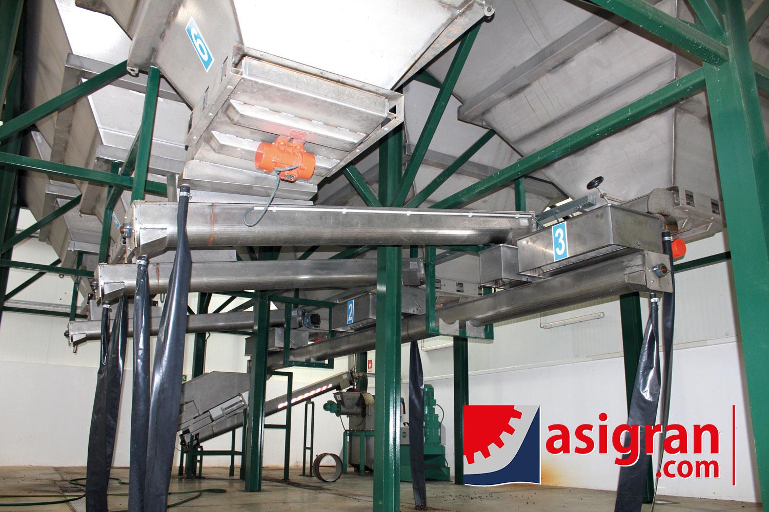 <p>Transportadores Sinf&iacute;n para aceituna</p>